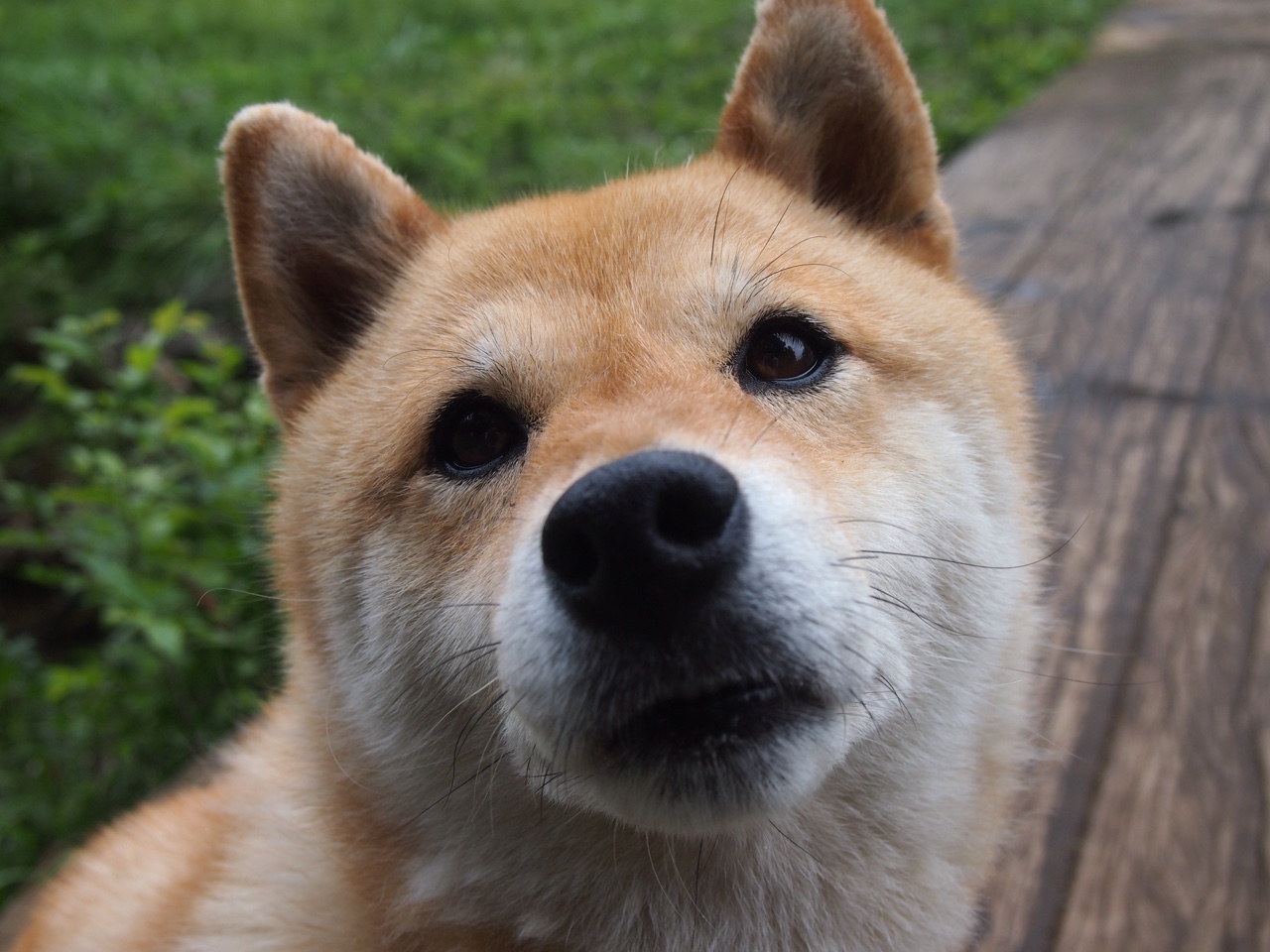 《电竞冠军背后的团队支撑:幕后英雄谁与争锋?》,电竞职业选手冠军