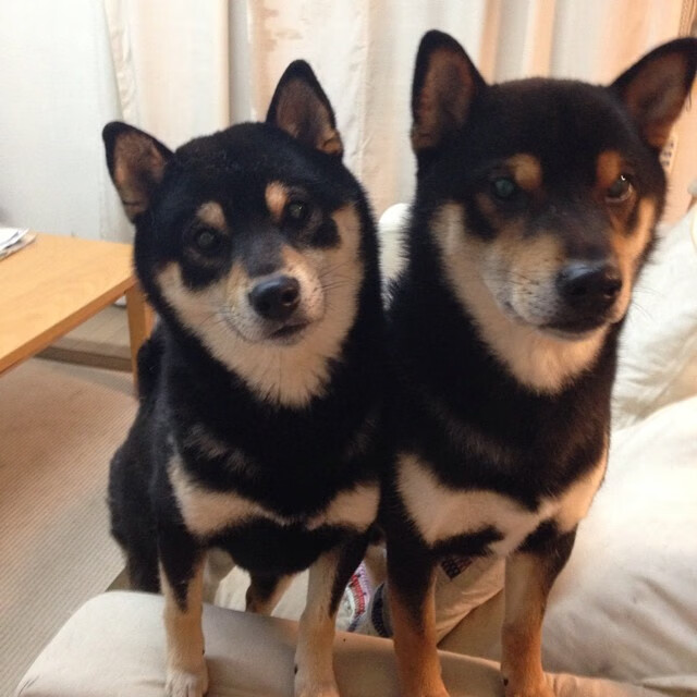 kaiyun体育综合-今年联盟“三分命中率”排名都有哪些令人惊喜的队伍？，nba联盟三分命中率第一